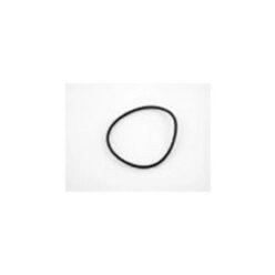 Belt Viton D75.87 W2.62 - 16120070