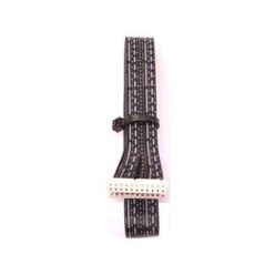 Entour Venue - 11Pin Ribbon Cable  Z-VENUE-RC